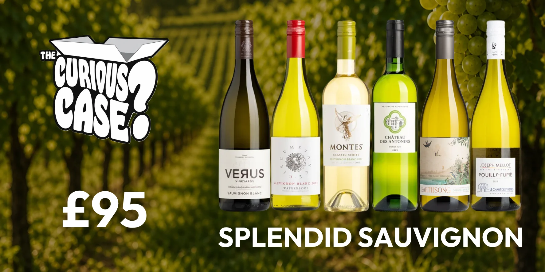 The Curious Case July 2026 - Splendid Sauvignon