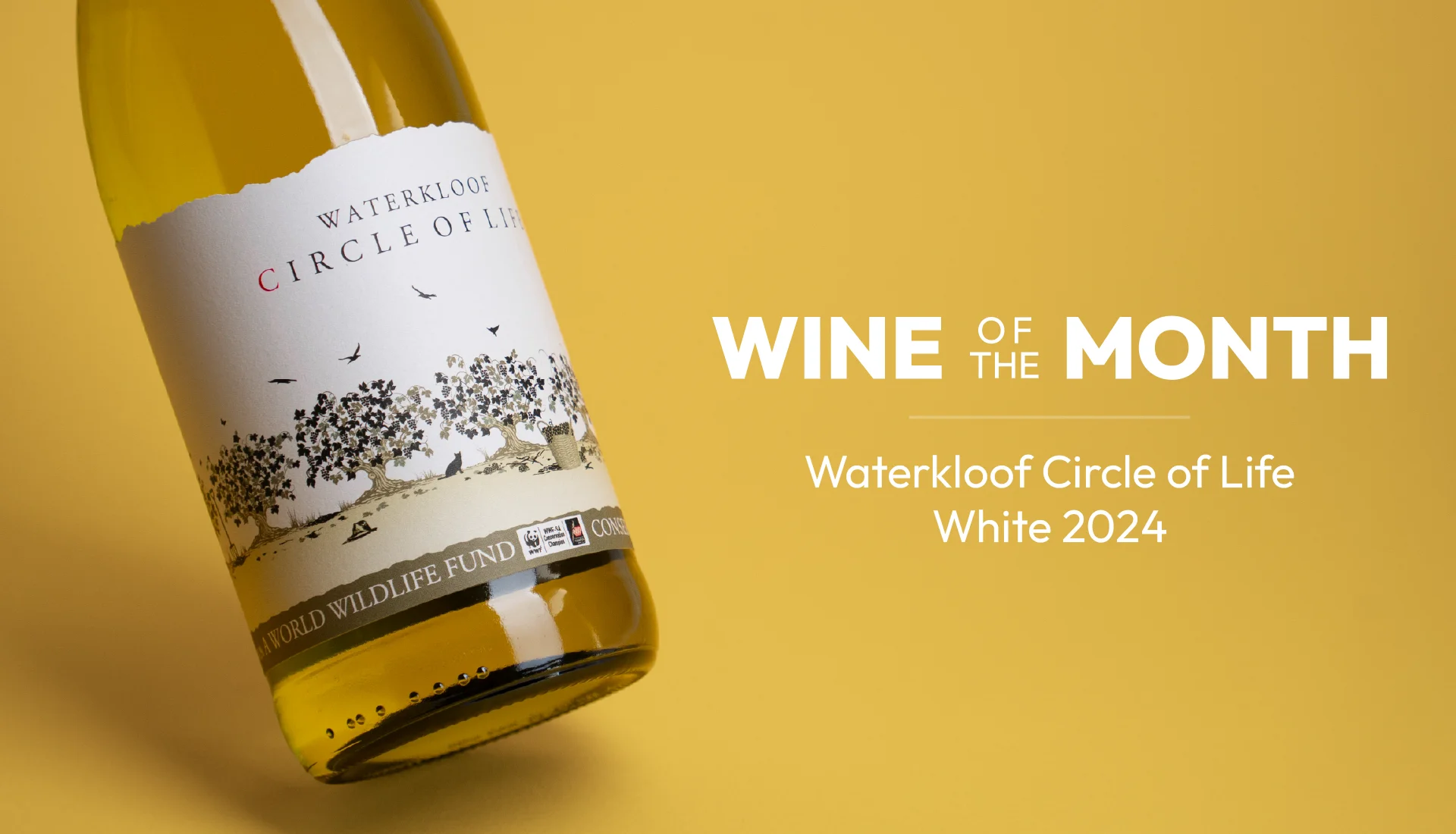 Wine of the Month, November 2026