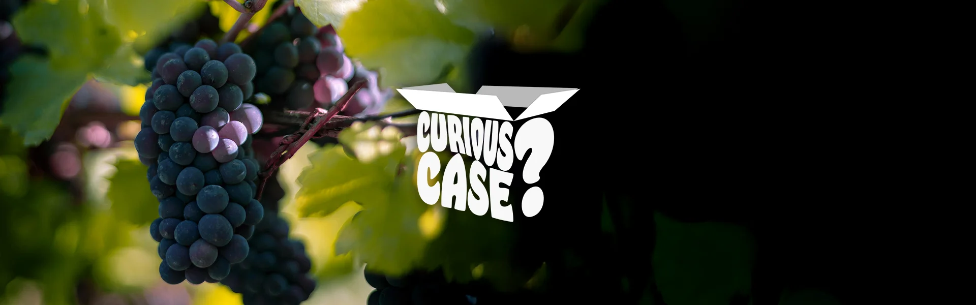 Grapes You Should Know