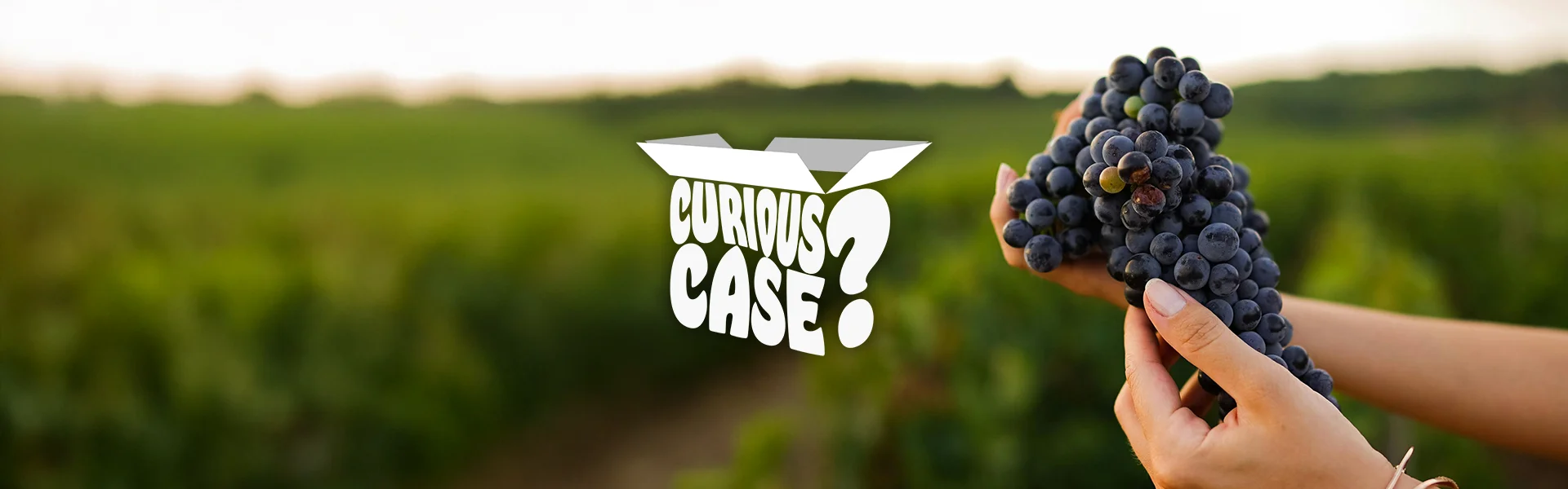 The Natural Selection — Six Wines Made the Right Way