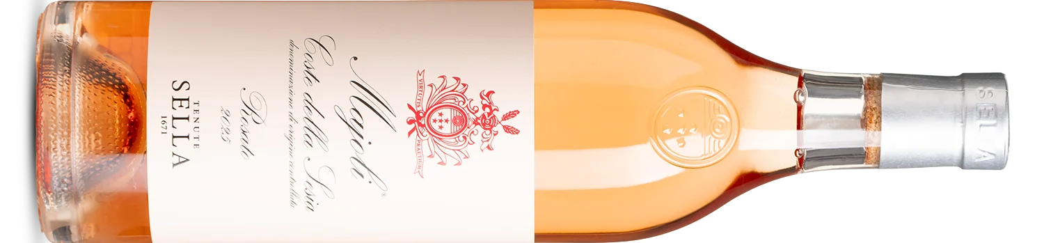 Piedmont's rosé, and it means business