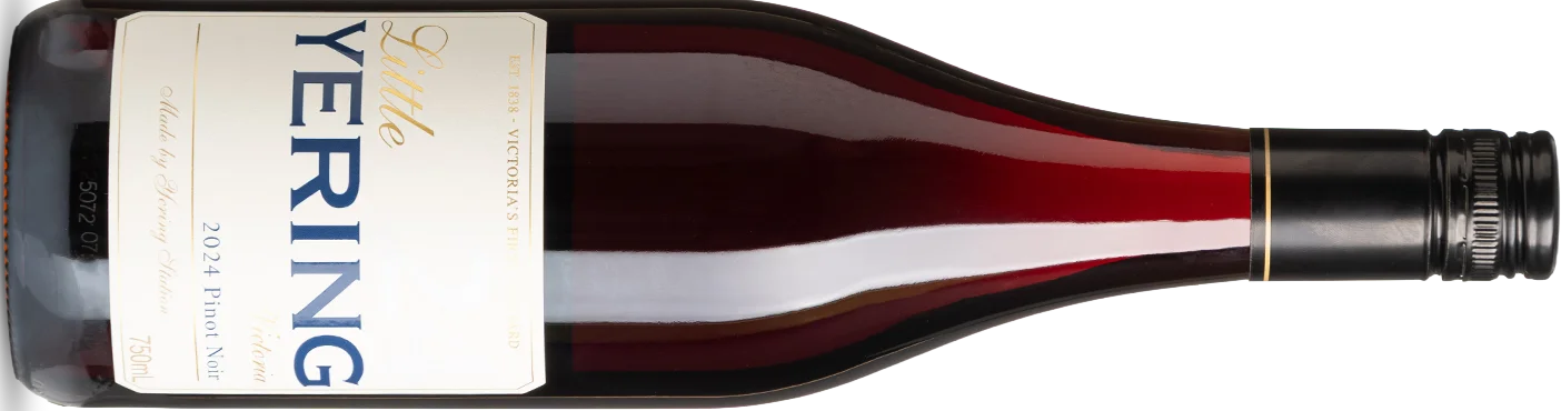 Pinot Noir, fashionable coolness from cool-climate vineyards