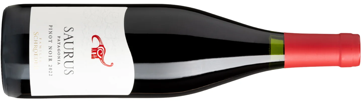 Patagonia - one of Pinot Noir's lesser known destinations