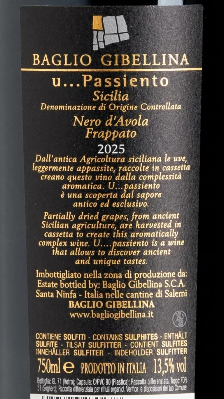 Baglio Gibellina U Passimiento 2025 view 3
