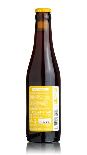 St Bernardus Pater 6 view 2