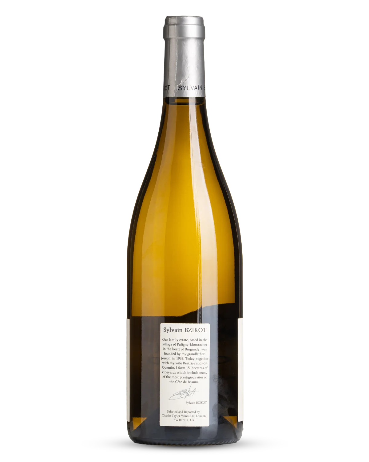 Bourgogne Blanc, Domaine Sylvain Bzikot 2024 view 2
