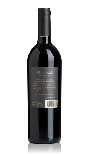 Vina Cobos Bramare Malbec, Lujan de Cuyo 2022 view 2