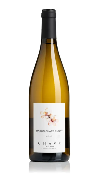 Macon-Chardonnay, Corentin Chavy 2023
