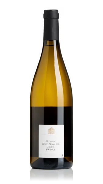 Macon-Chardonnay, Corentin Chavy 2023 view 2