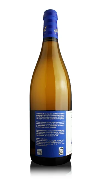 Condrieu Les Grandes Chaillées, Domaine du Monteillet 2023 view 2