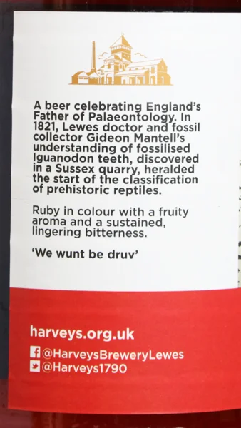 Harvey's Georgian Dragon Ruby Ale view 2