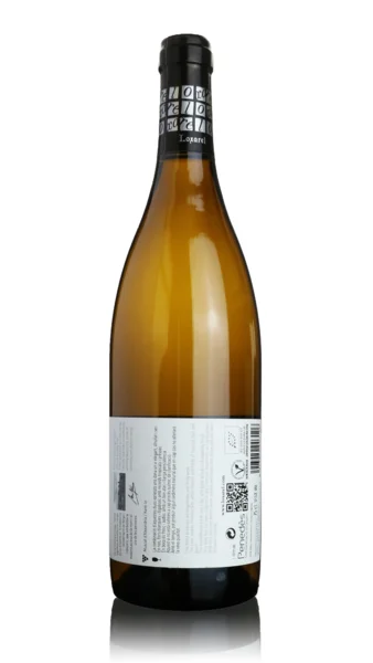 Cora Loxarel, Penedes 2024 view 2