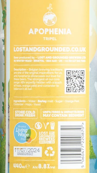 Lost & Grounded Apophenia Tripel view 3