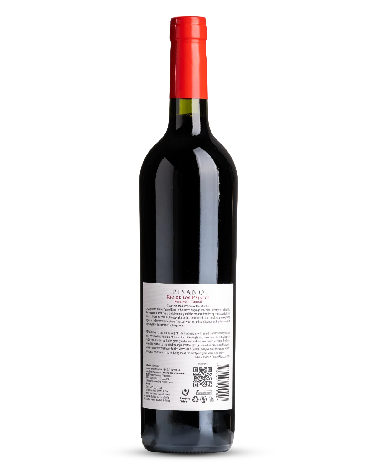 Pisano 'Rio de los Pajaros' Tannat 2023 view 2