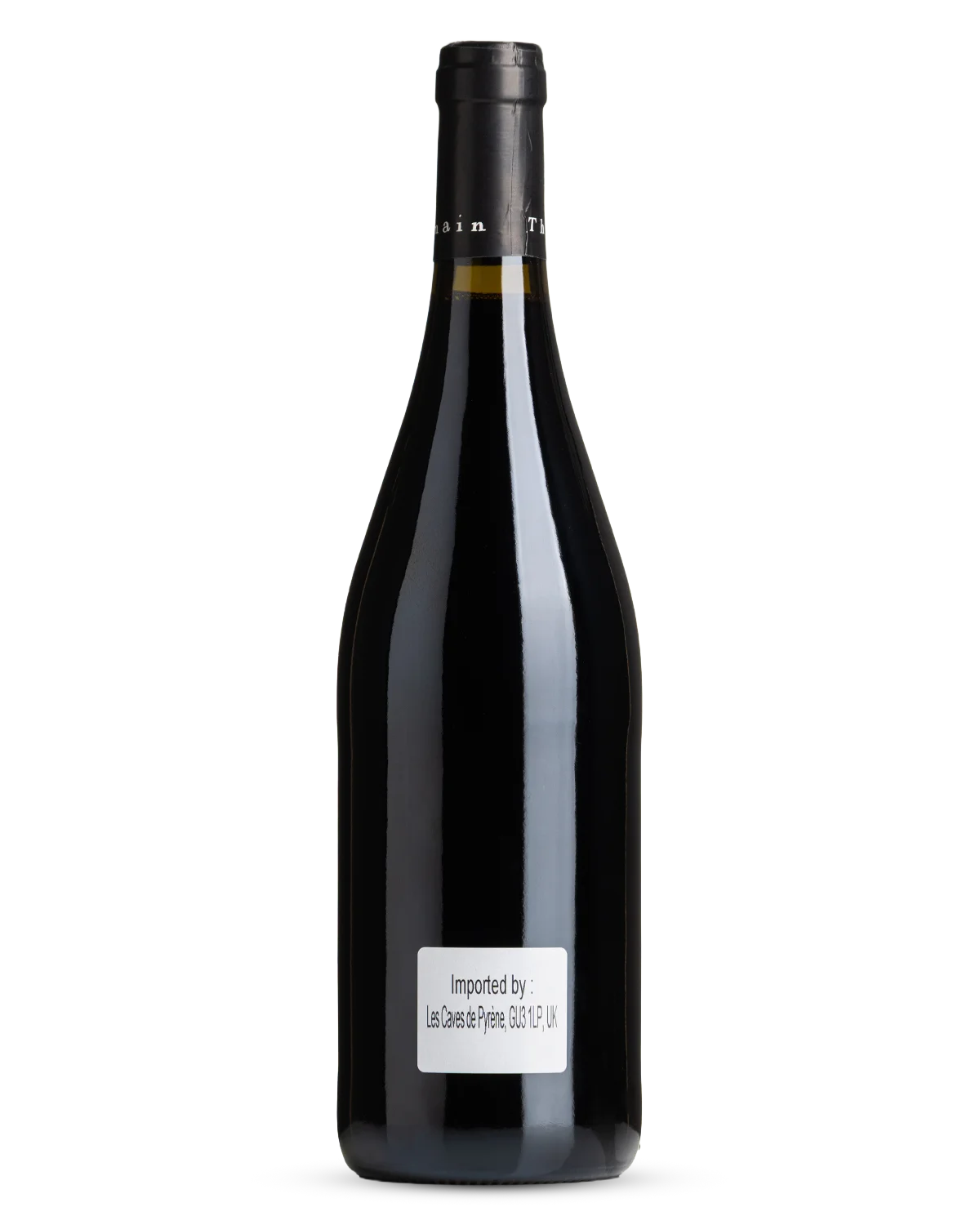 Domaine des Roches Neuves Saumur-Champigny, Thierry Germain 2025 view 2
