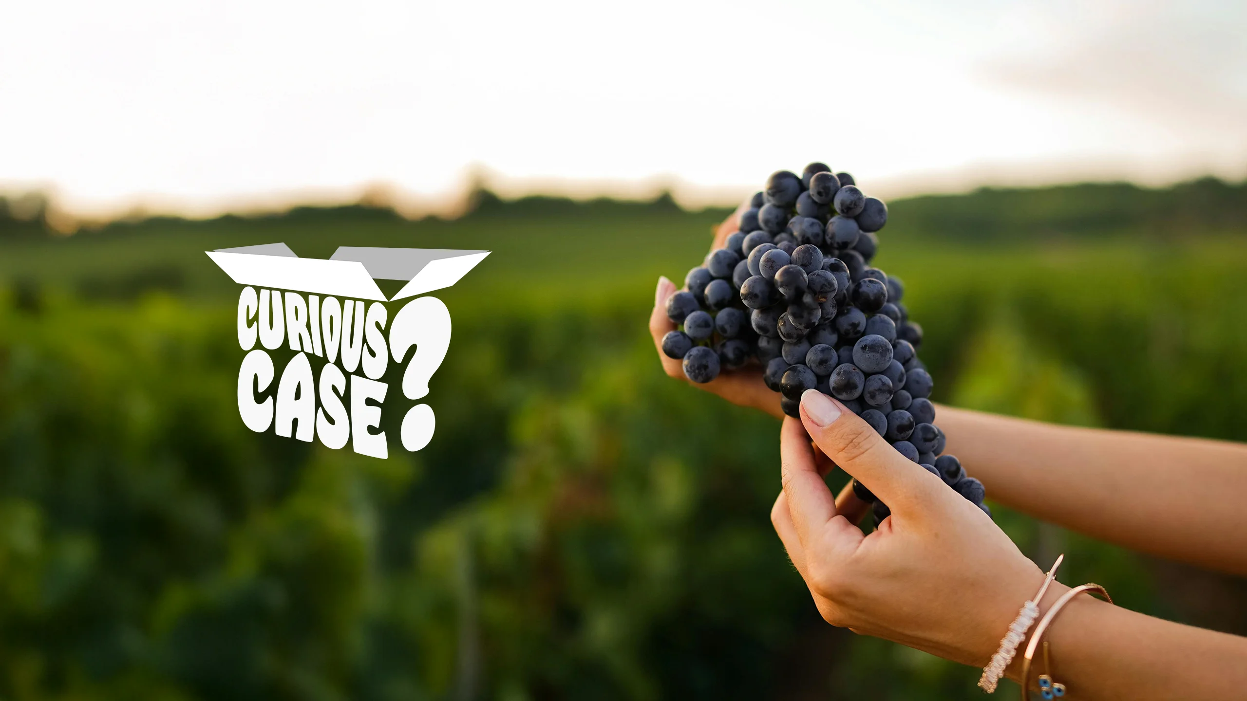 The Natural Selection: Six Wines Made the Right Way