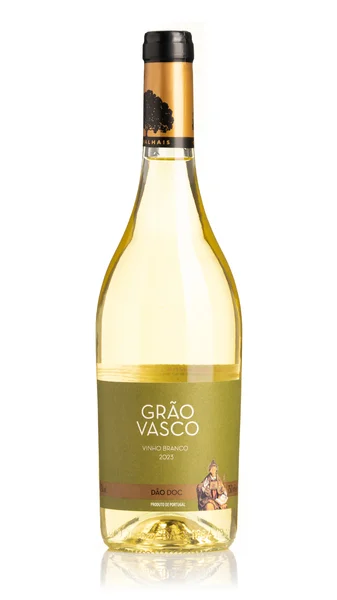 Grão Vasco Branco, Dão 2023