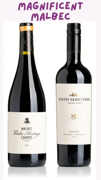Magnificent Malbec Duo Pack